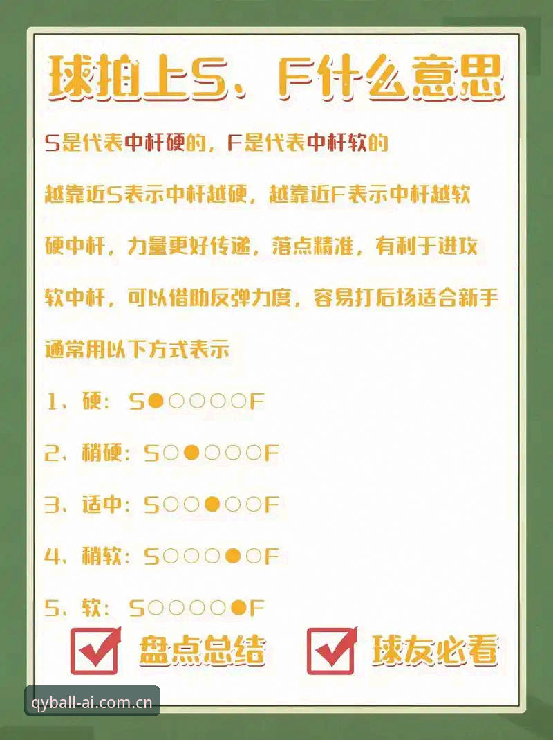 如何找到球友会数字服务平台安卓版？新手必看的下载与使用指南